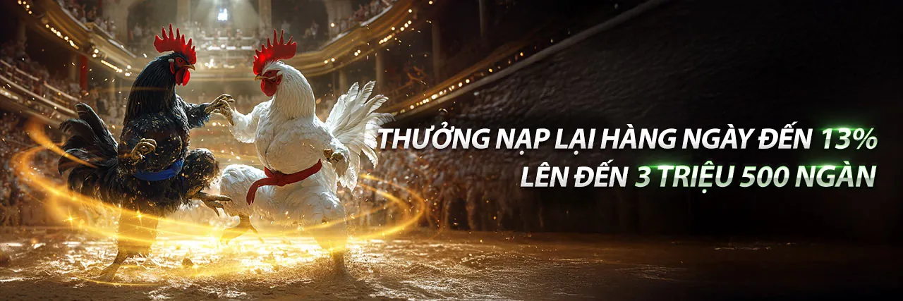 Đá Gà Trực Tuyến v999 link mới
